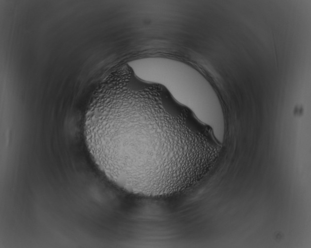 X0000091370073200708311534