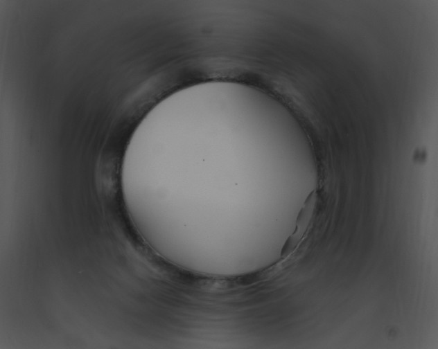 X0000091370074200708311534