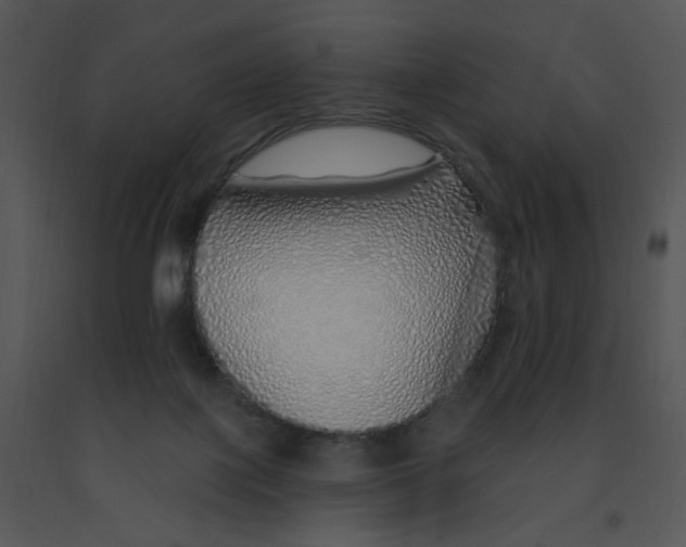 X0000091370075200708311534