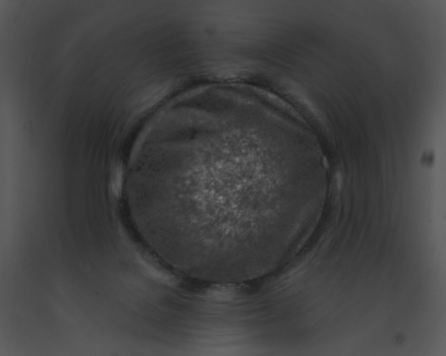 X0000091370076200708311534