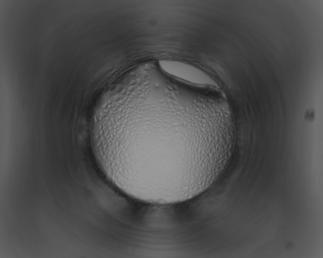 X0000091370077200708311534