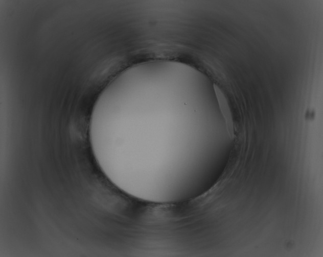 X0000091370078200708311534