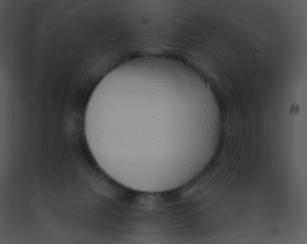 X0000091370079200708311534