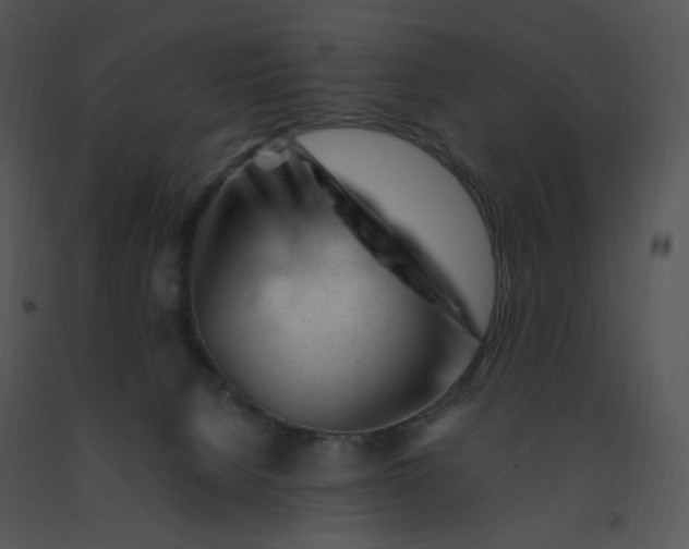 X0000091370080200708311534