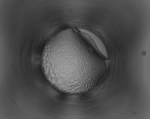 X0000091370081200708311534