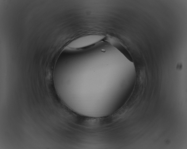 X0000091370084200708311534