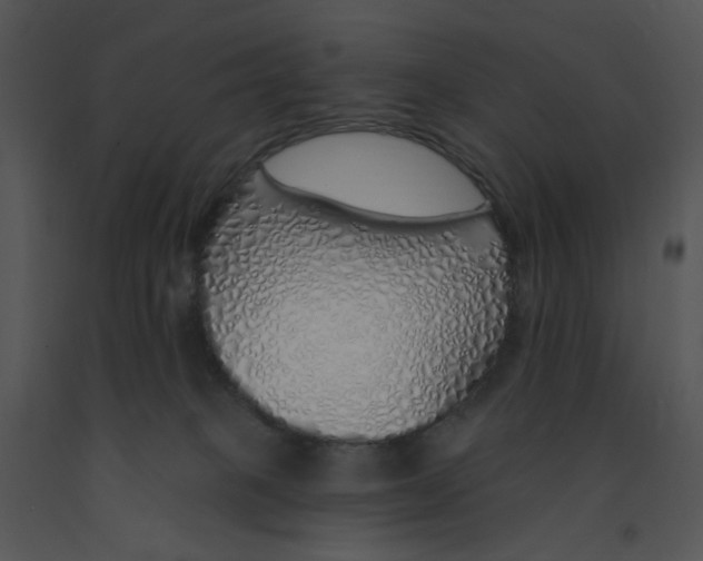 X0000091370085200708311534