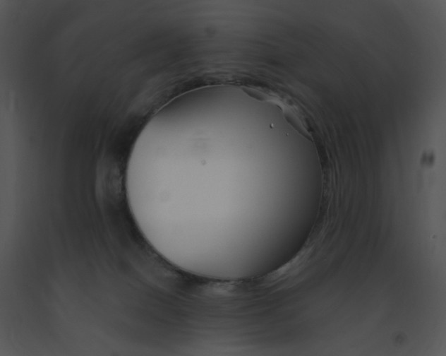 X0000091370086200708311534