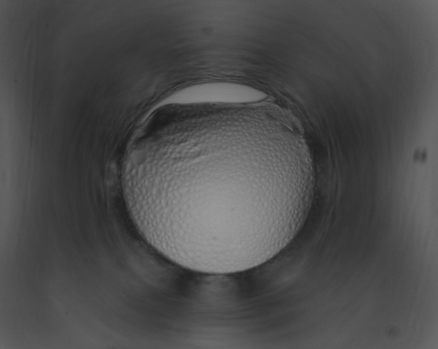 X0000091370087200708311534