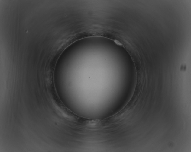 X0000091370088200708311534