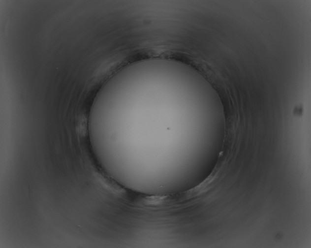 X0000091370090200708311534