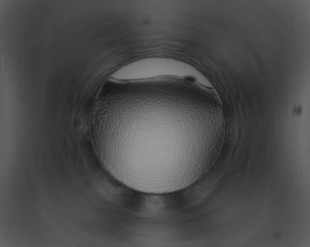 X0000091370091200708311534