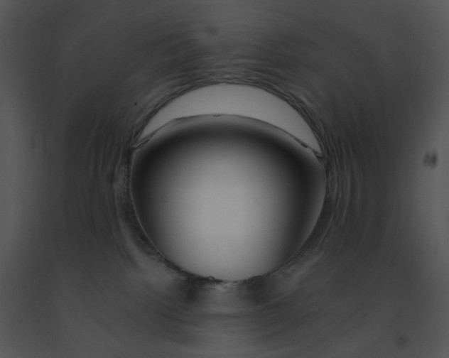 X0000091370092200708311534