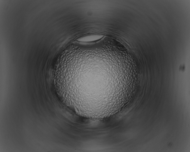 X0000091370093200708311534