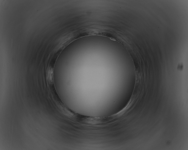 X0000091370094200708311534