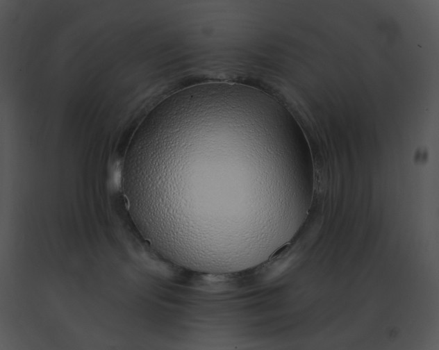 X0000091370095200708311534