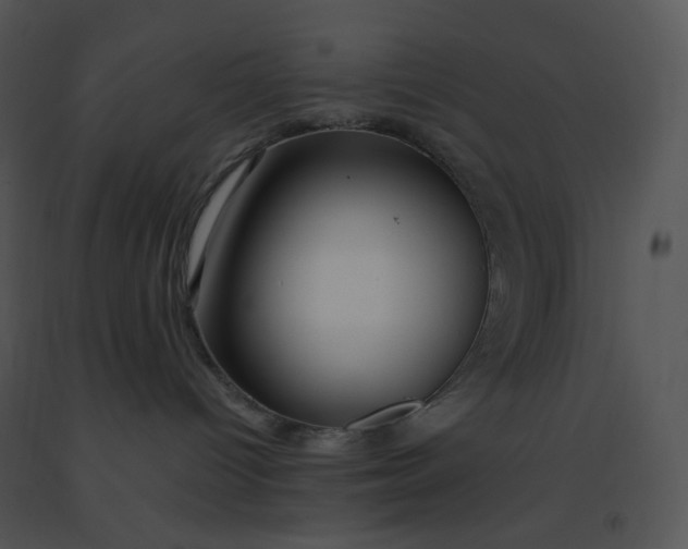 X0000091370096200708311534