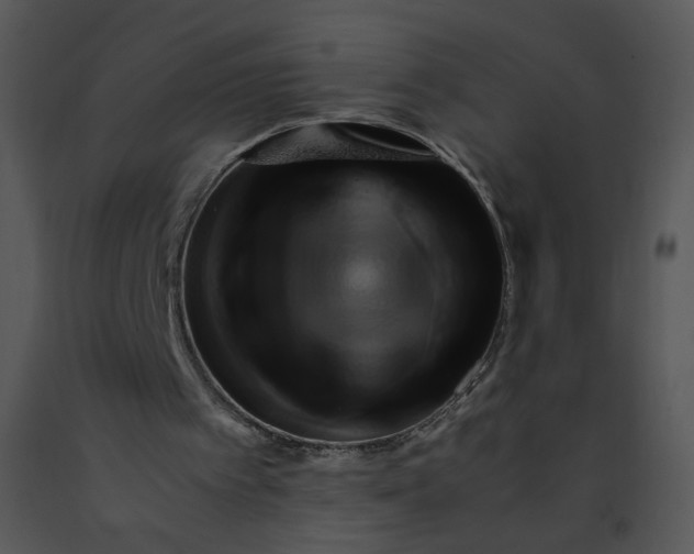 X0000091370097200708311533