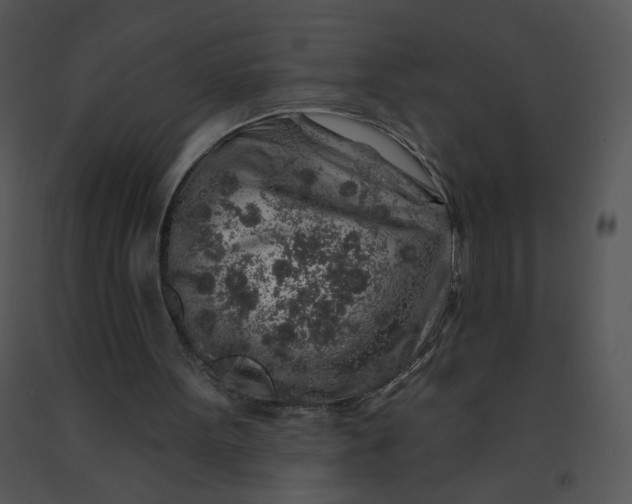 X0000091370099200708311533