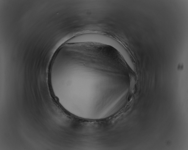 X0000091370100200708311533