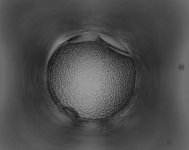 X0000091370102200708311533