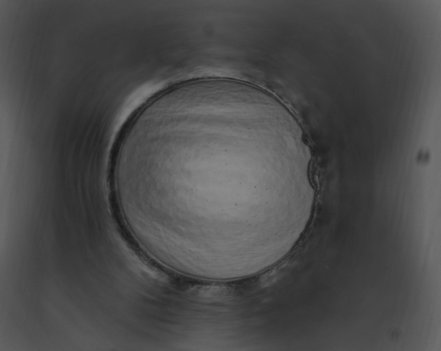 X0000091370104200708311533