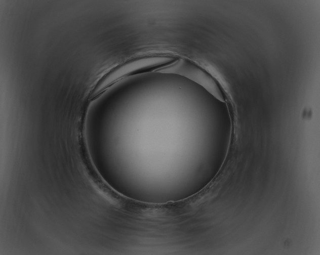 X0000091370105200708311533