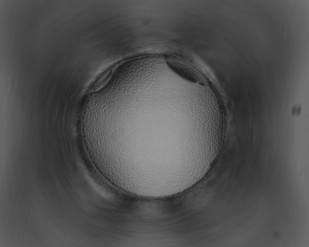 X0000091370106200708311533