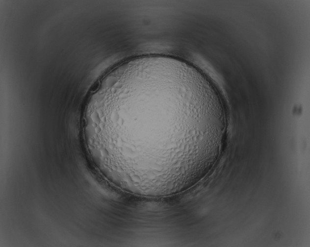 X0000091370107200708311533