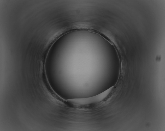 X0000091370109200708311533