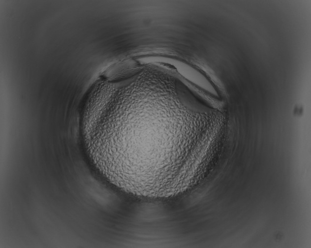 X0000091370110200708311533