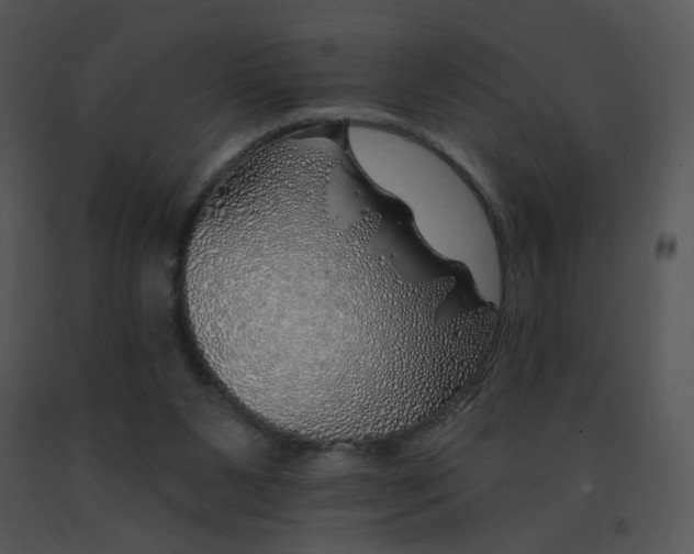 X0000091370111200708311533