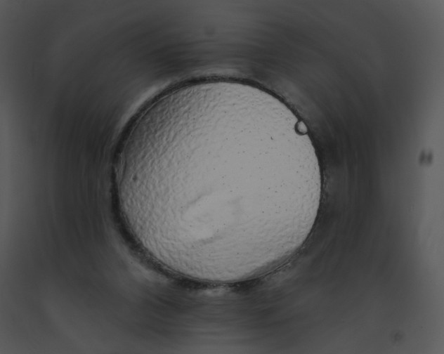 X0000091370112200708311533