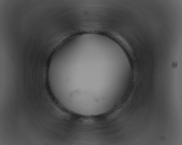 X0000091370113200708311533