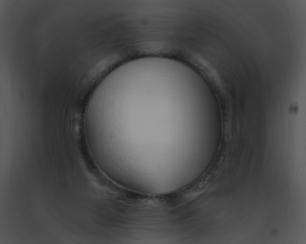 X0000091370115200708311533