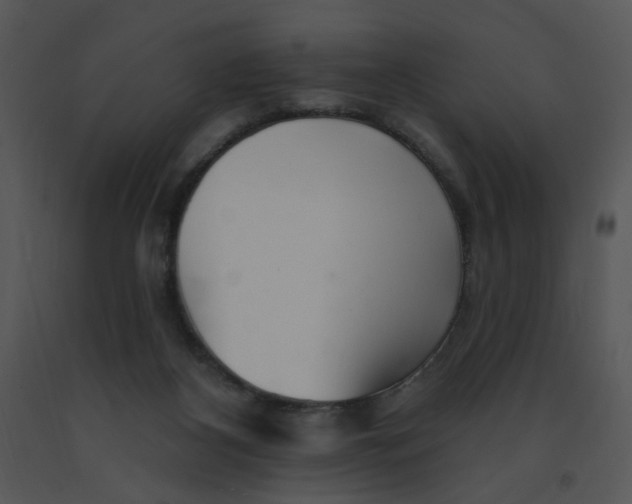 X0000091370116200708311533