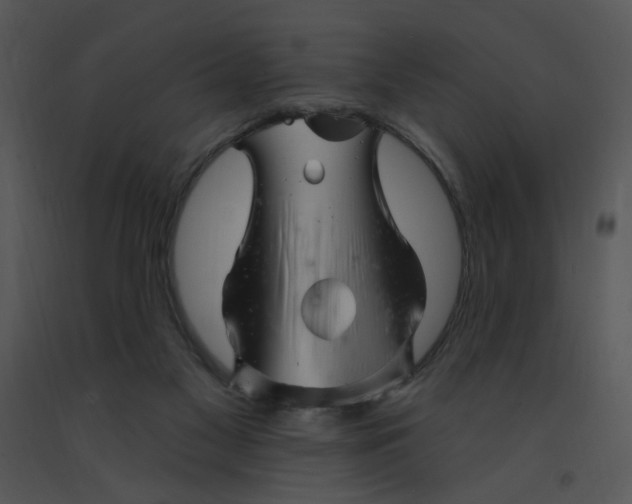 X0000091370117200708311533