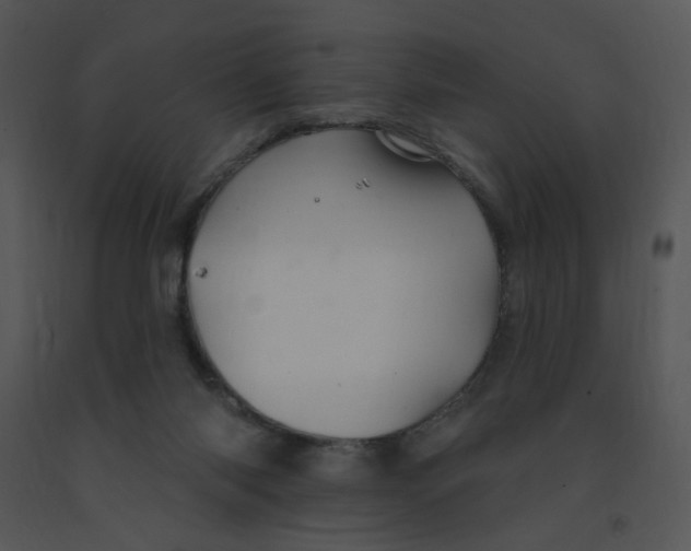 X0000091370118200708311533