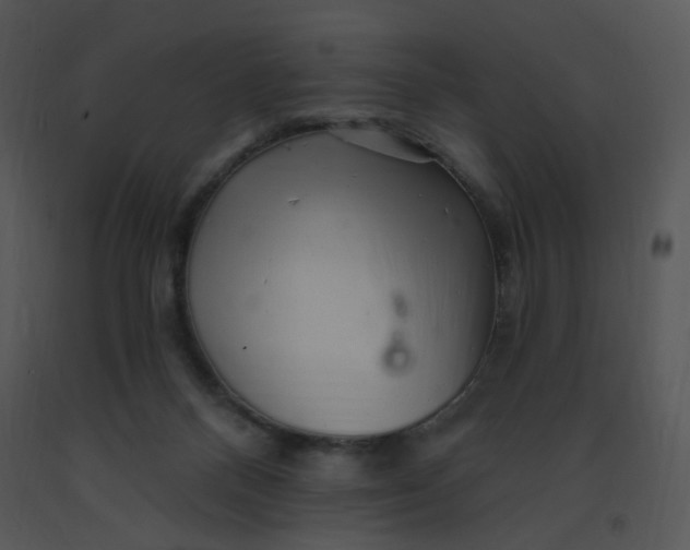 X0000091370120200708311533