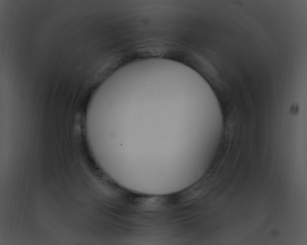 X0000091370122200708311533