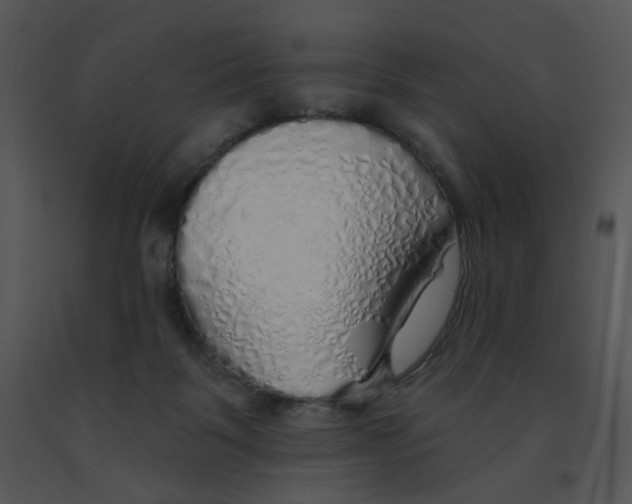 X0000091370123200708311533