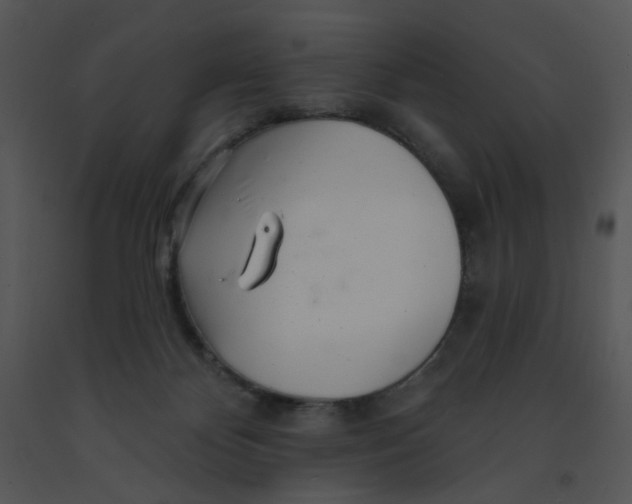 X0000091370124200708311533