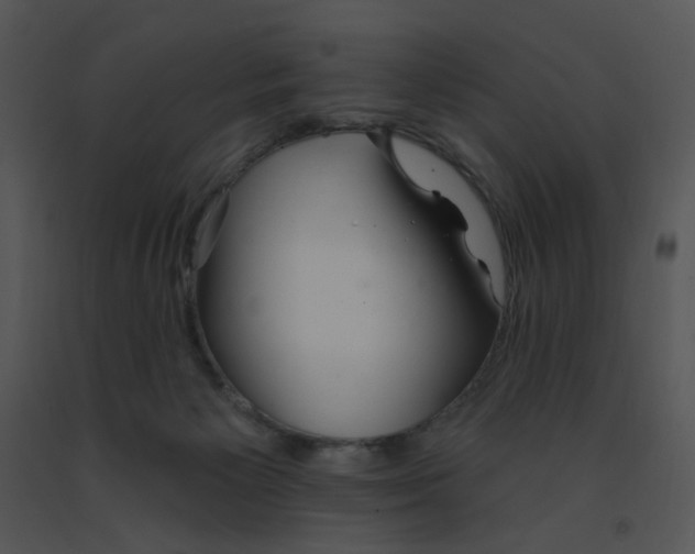 X0000091370125200708311533