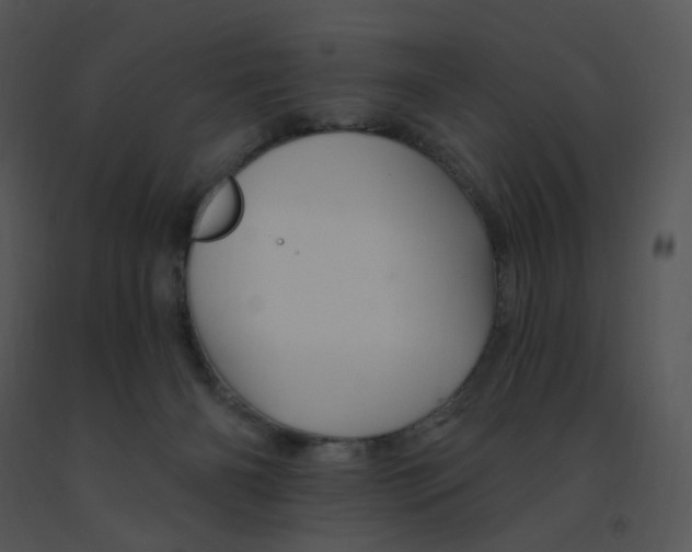 X0000091370126200708311533