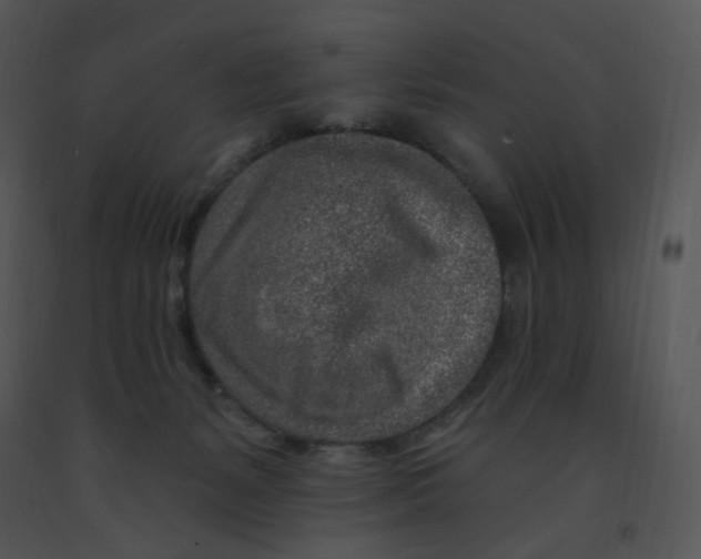 X0000091370127200708311533