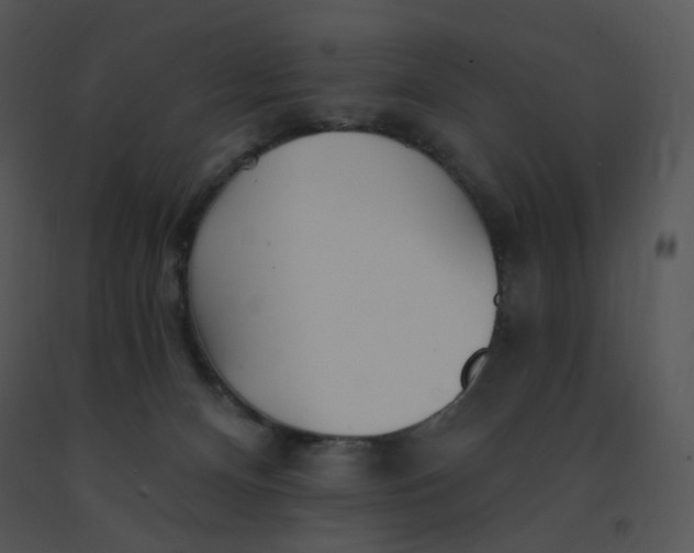 X0000091370128200708311533