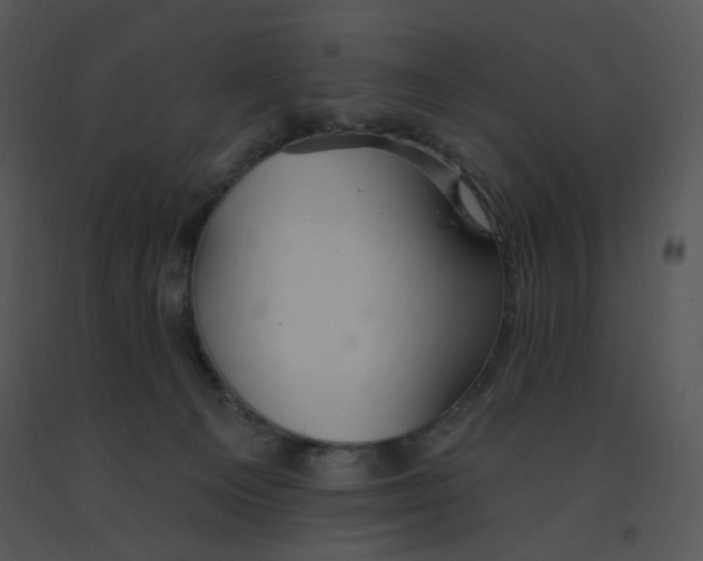 X0000091370129200708311533