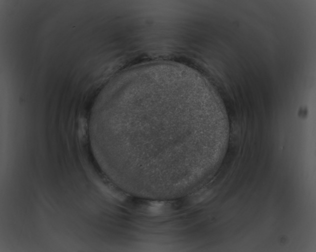 X0000091370130200708311533