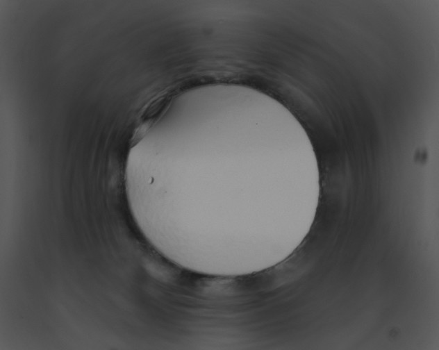 X0000091370132200708311533