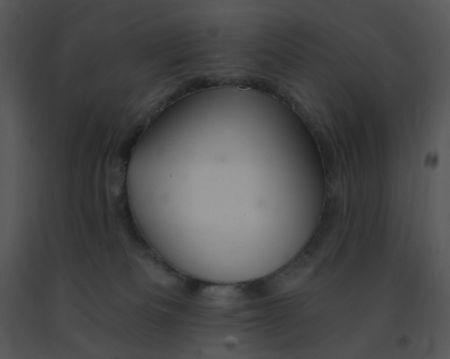 X0000091370133200708311533